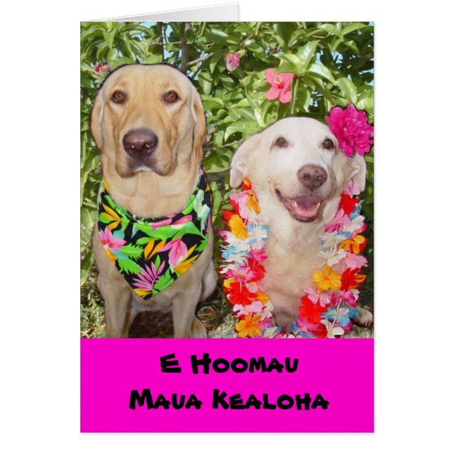 Cartão Pode nosso último do amor para sempre! (Frente)