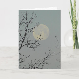 Cartão Podemos estar longe, Srta. Foto da Lua