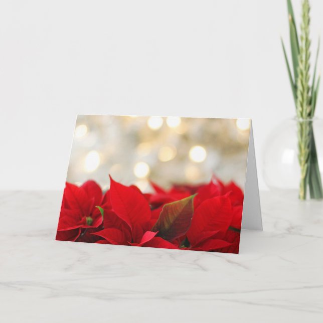 Cartão Poinsettia Natal (Frente)