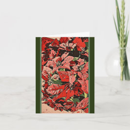 Cartão Poinsettias