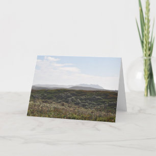 Cartão Point Reyes Hills - Greeting Card
