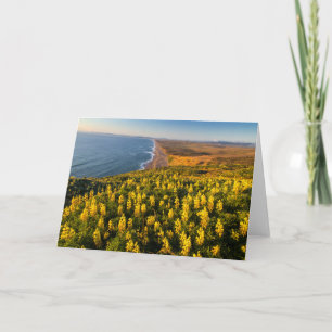 Cartão Point Reyes National Seashore California