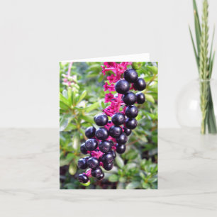 Cartão Pokeweed Note Card