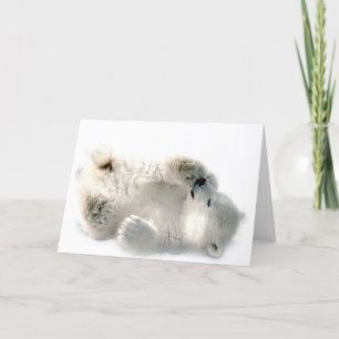 Cartão Polar Bear Cub Cub Ártico Ártico Congelado Inverno
