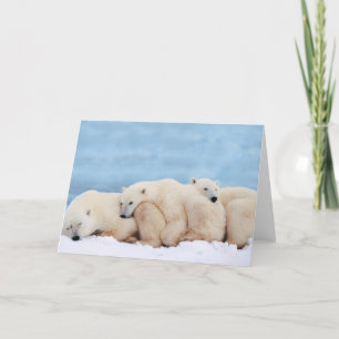 Cartão Polar Bears Greeting Card