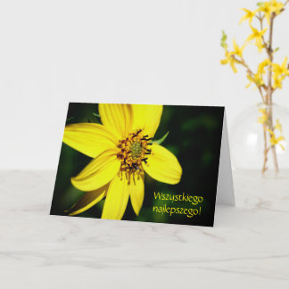 Cartão Polonês Aniversário Sto Lat Sunflower