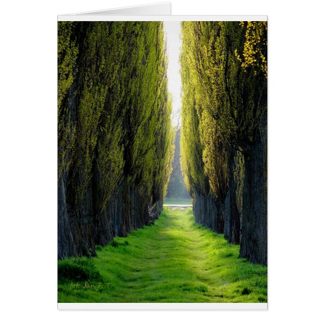 Cartão POLÔNIA ALEJAWroclaw (Frente)