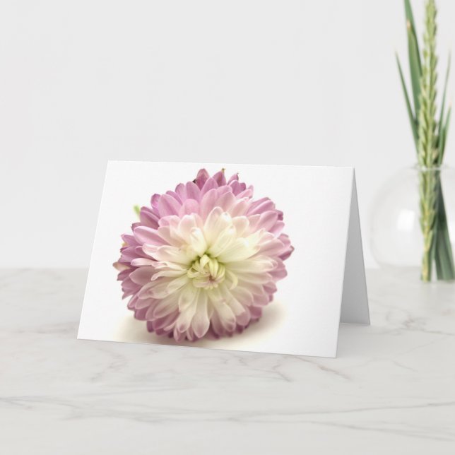 Cartão pom (Frente)