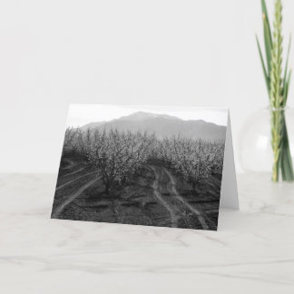 Cartão Pomares em proibir as alturas, Mt. San Jacinto,