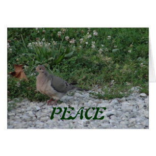 Cartão Pombas, 3:15 de Colossians