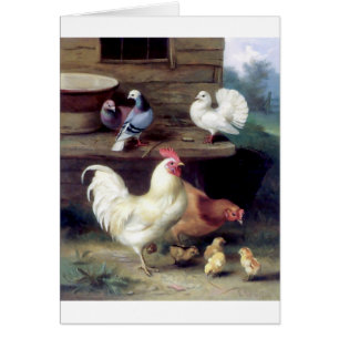 Cartão Pombas da galinha da galinha do galo