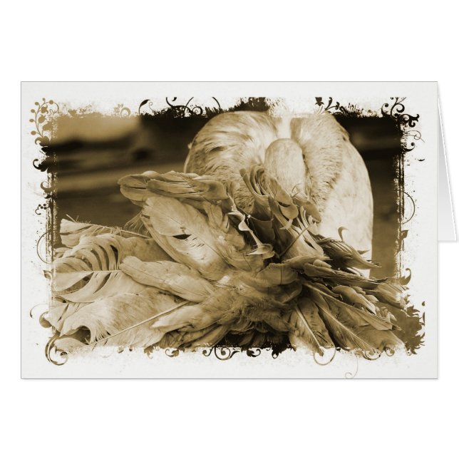 Cartão Pombo (Frente Horizontal)