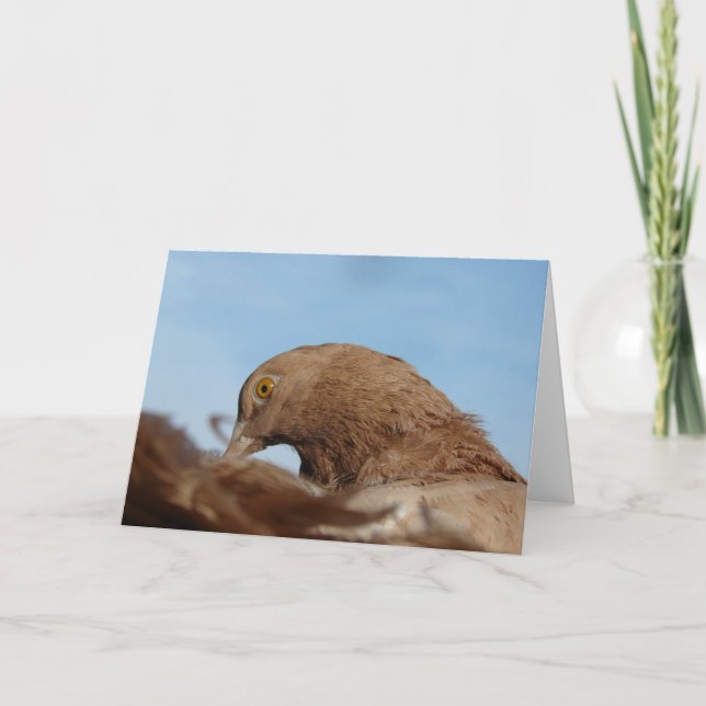 Cartão Pombo (Frente)