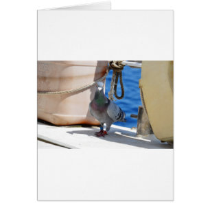 Cartão Pombo de direcção