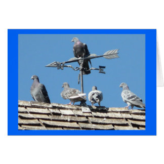 Cartão pombos