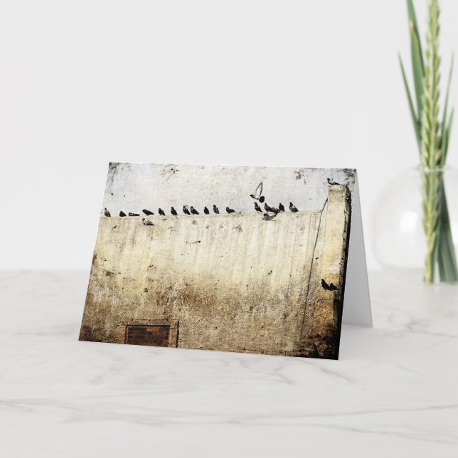 Cartão Pombos em um Telhado (Frente)
