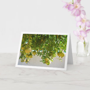 Cartão Pomegranatos pendurados na árvore