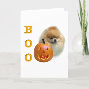 Cartão Pomeranian Boo
