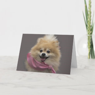Cartão Pomeranian Dog Birthday Card by Focus for a Cause