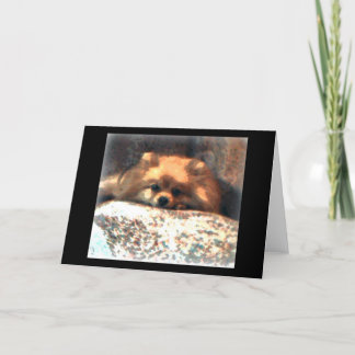Cartão Pomeranian Notecard