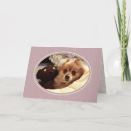 Cartão Pomeraniana Get Good Card