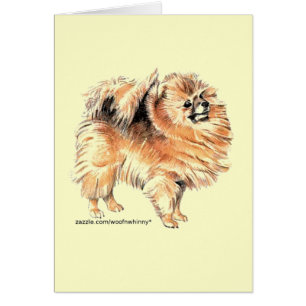 Cartão Pomeraniano!