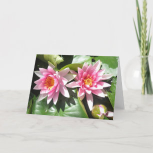 Cartão Pond Lillies Notecard