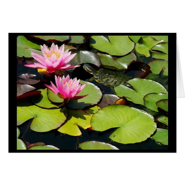 Cartão Pond Lilypad & Turtle Card (Frente Horizontal)