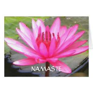 Cartão Pond Lotus Tranquile l Namaste