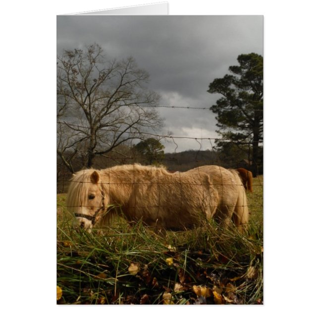 Cartão Pônea Loura Miniatura / Cavalo (Frente)