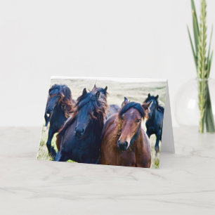 Cartão Pôneis Cumbrianos