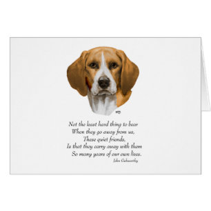 Cartão Ponte Arco-íris Beagle