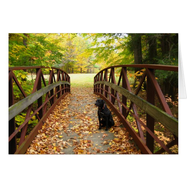 Cartão ponte com Cole (Frente Horizontal)