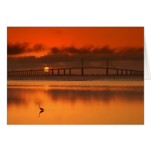 Cartão Ponte de Skyway