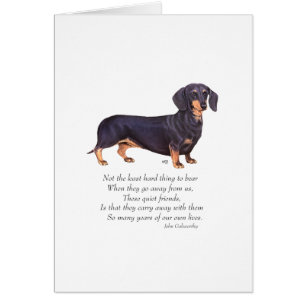 Cartão Ponte do Arco-íris do Dachshund