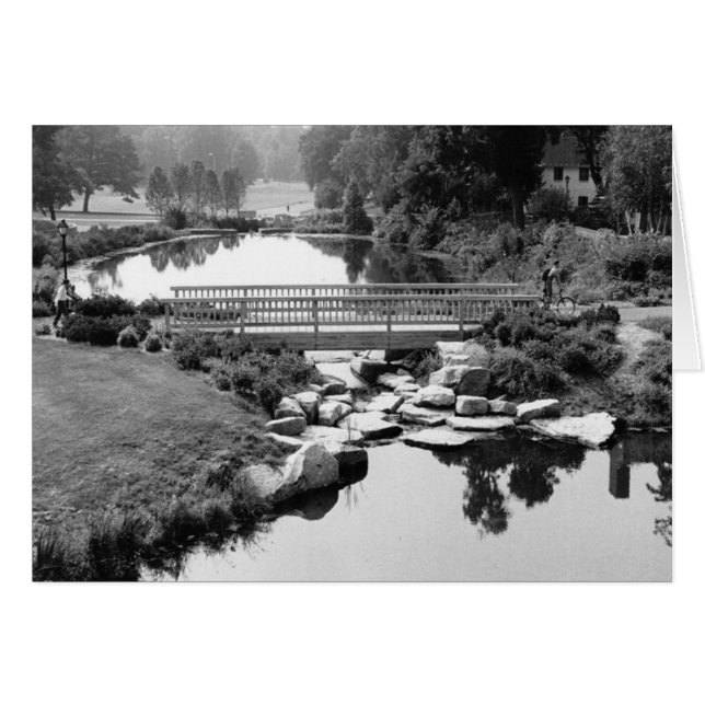 Cartão Ponte na placa CT (Frente Horizontal)