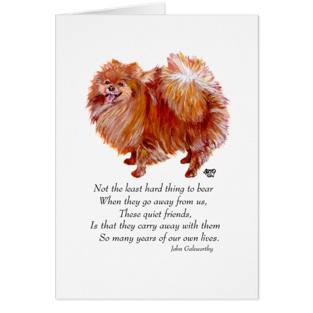 Cartão Ponte Rainbow da Pomerânia (Frente)