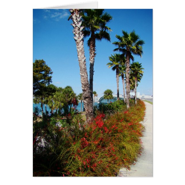 Cartão Ponte Sarasota Ringling (Frente)