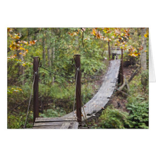 Cartão Ponte secundária, Patrimônio Nacional do Carvão