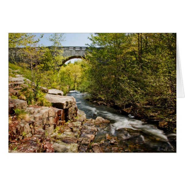 Cartão Ponte sobre o rio (Frente Horizontal)