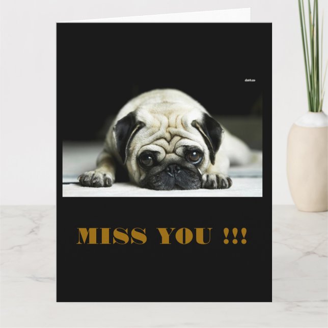 CARTÃO PONTO DE ENTRADA DO PONTO DE ENTRADA POUCO PUG (Frente)