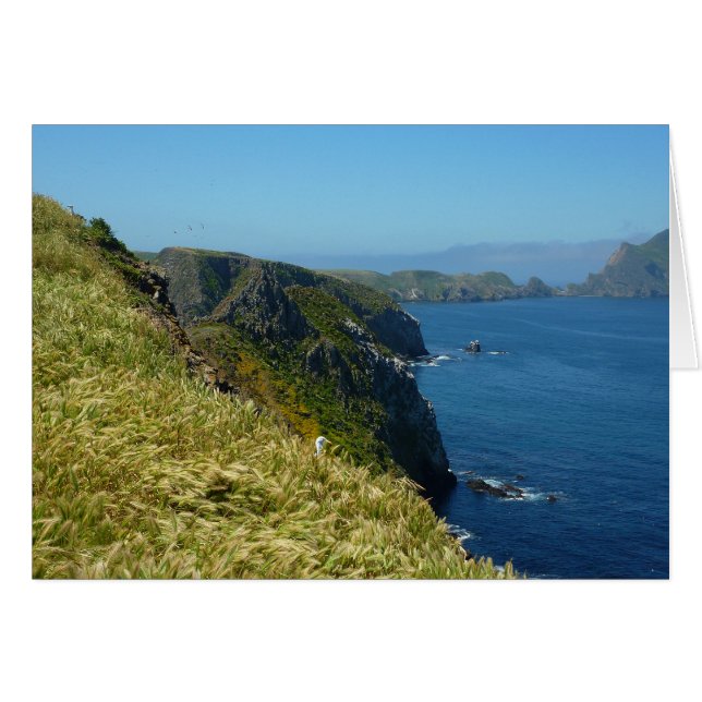 Cartão Ponto de Inspiração II da Anacapa nas Ilhas do Can (Frente horizontal)