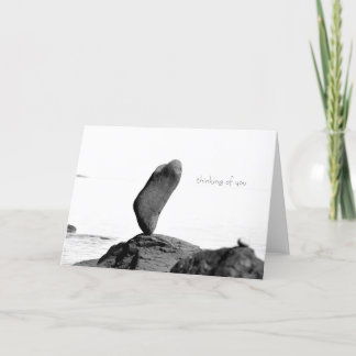 Cartão ponto de ponta