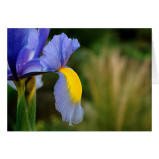 Cartão Ponto quente