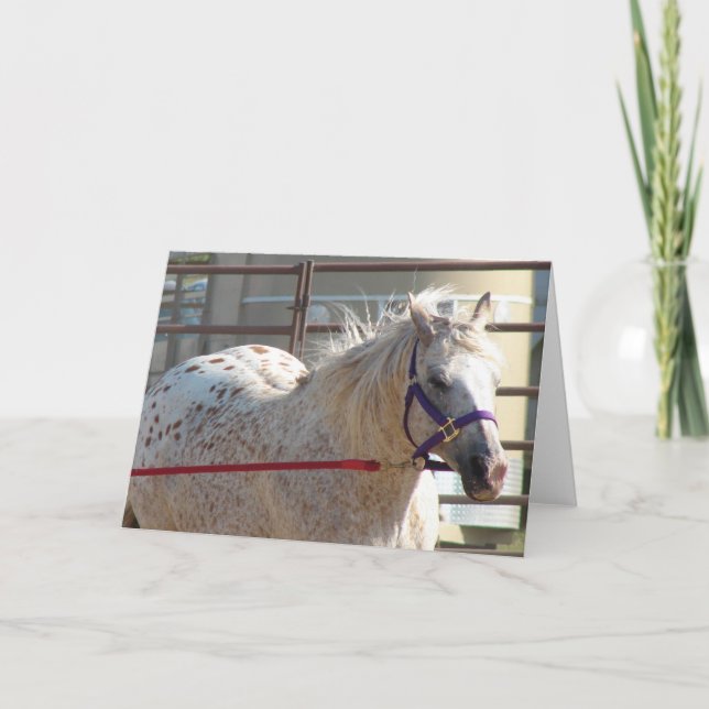 Cartão Pony (Frente)