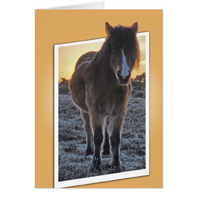 Cartão Pony cut out (Frente)