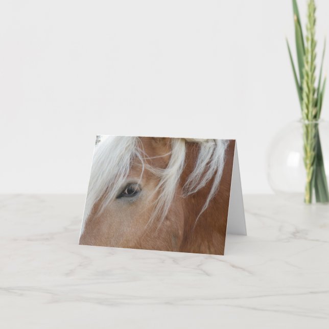 Cartão Pony notecard (Frente)