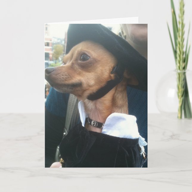 CARTÃO POOCH COMEÇA ANIVERSÁRIO PERSEGUIDO (Frente)