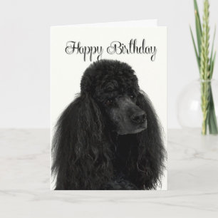 Cartão Poodle Birthday Card