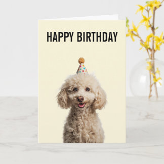 Cartão Poodle Birthday Celebration